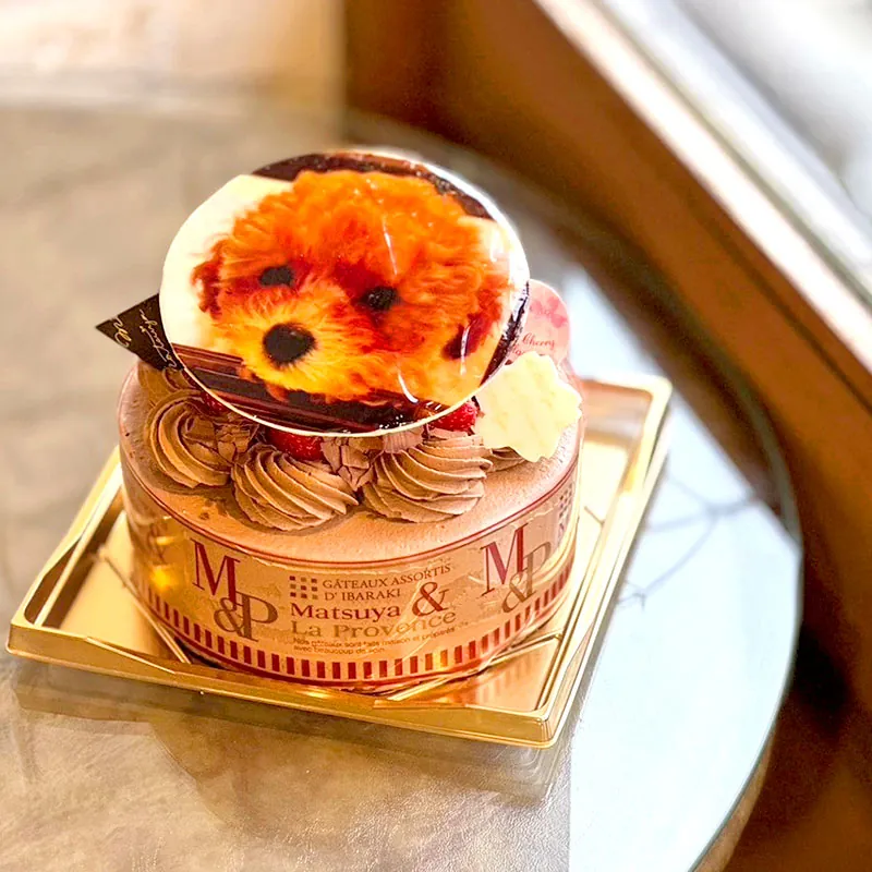 菓心松屋のイラストケーキ（写真をプリントしたケーキ）