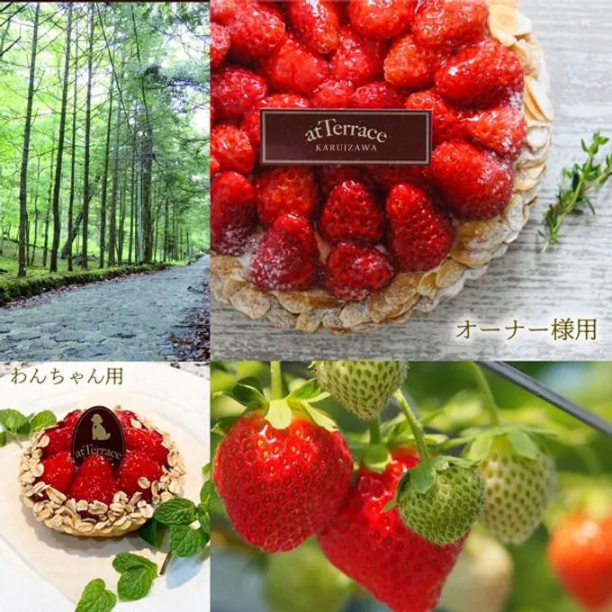 atTerrace軽井沢の犬用と人用のいちごタルトのセット