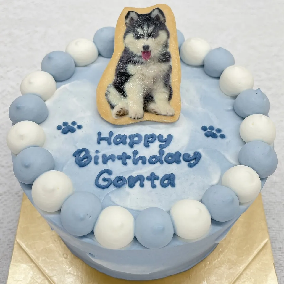 犬と食べれるケーキ dog cake laboの4号ケーキ