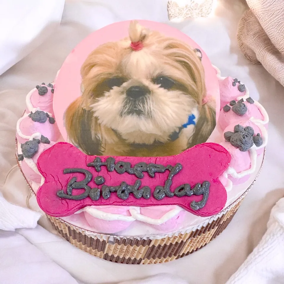 Gaby Gabyの愛犬の写真をのせるバースデーケーキ 4号